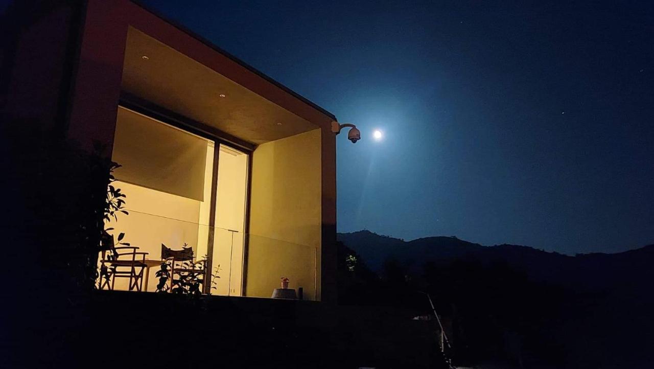 Hotel Vald'Aregos - Douro Resende Exterior foto